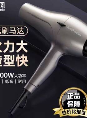 火之凤吹风机6600H无刷大功率吹风机快速吹干 干静音轻便发型师吹