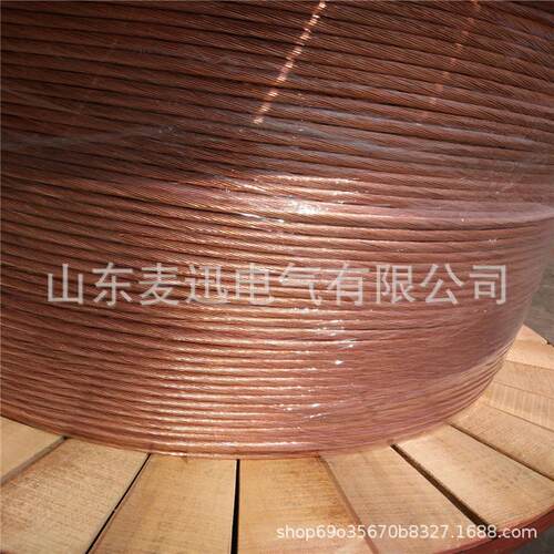 50mm2 95mm2 120mm2硬铜绞线TJ-185镀锡铜绞线 裸铜绞线