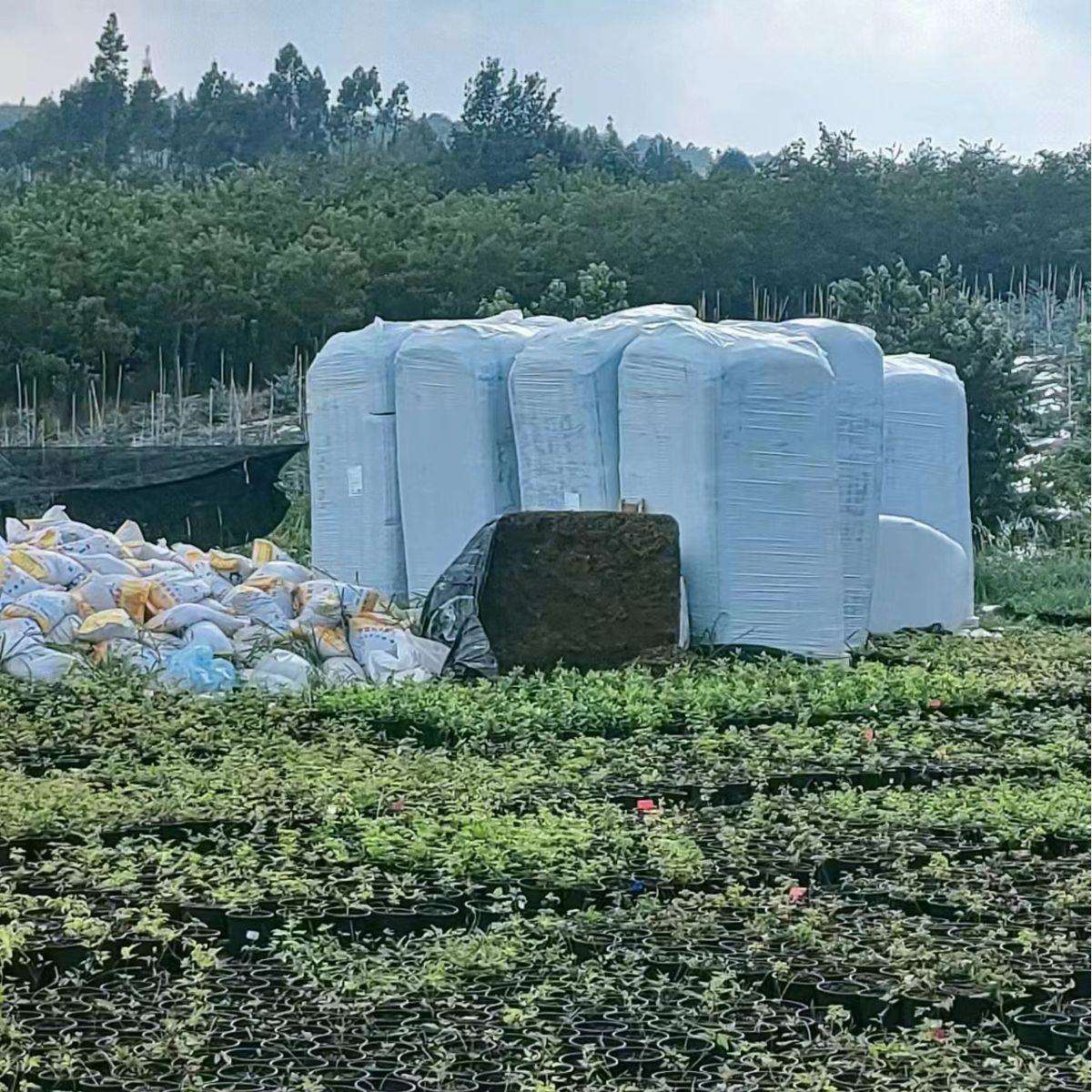 全国近点发货德国进口维特泥炭营养土 泥炭土5800L泥炭土品氏泥炭
