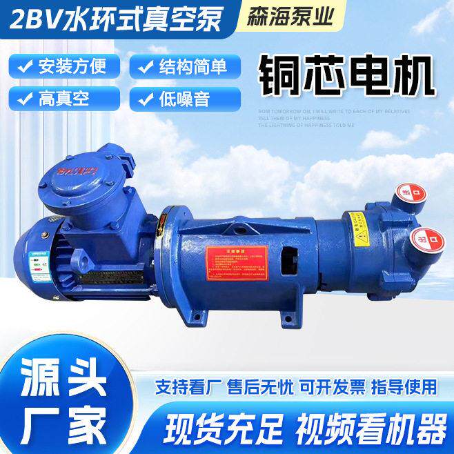 厂家直供2BV水环式真空泵工业其它泵类型