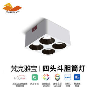 筒灯客厅卧室无主灯全光谱护眼斗胆射灯深杯防眩吸顶灯 飞时代明装