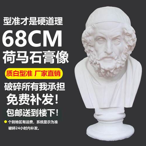 荷马石膏像美术教具石膏头像荷马雕塑摆件素描模型美术写生石膏像