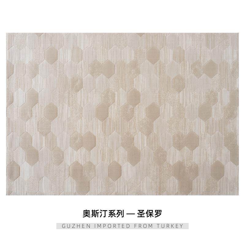 高档古臻进口式极简地客厅毯奢现代别墅意卧室沙发地毯防水免轻洗
