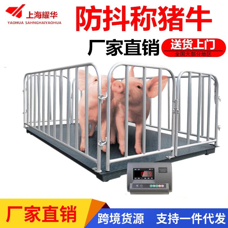 新款直销3吨有线无线畜牧秤动物秤电子平台秤养殖场称猪牛羊带围