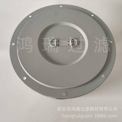 组厂家直供发滤电机法ZVN兰芯AF主轴向密封滤芯总成