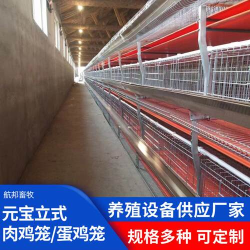 元宝笼养殖成年肉鸡笼全自动清粪捡蛋畜牧养殖厂鸡用养殖笼设备