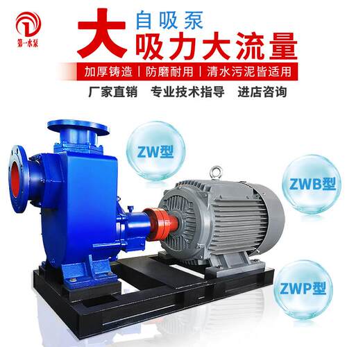 自吸污泥泵耐腐蚀化工泵直连自吸100ZX100-80/37KW不锈钢离心泵zw