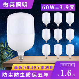 LED灯泡10W20W60W超亮节能灯泡暖黄白光E27螺口工厂车间照明家用