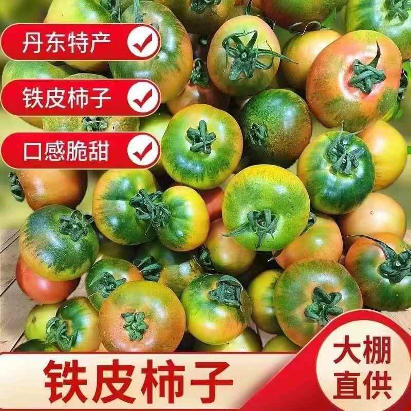 正宗铁皮草莓柿子新鲜当季西红柿生吃水果碱地绿腚东北番茄包邮