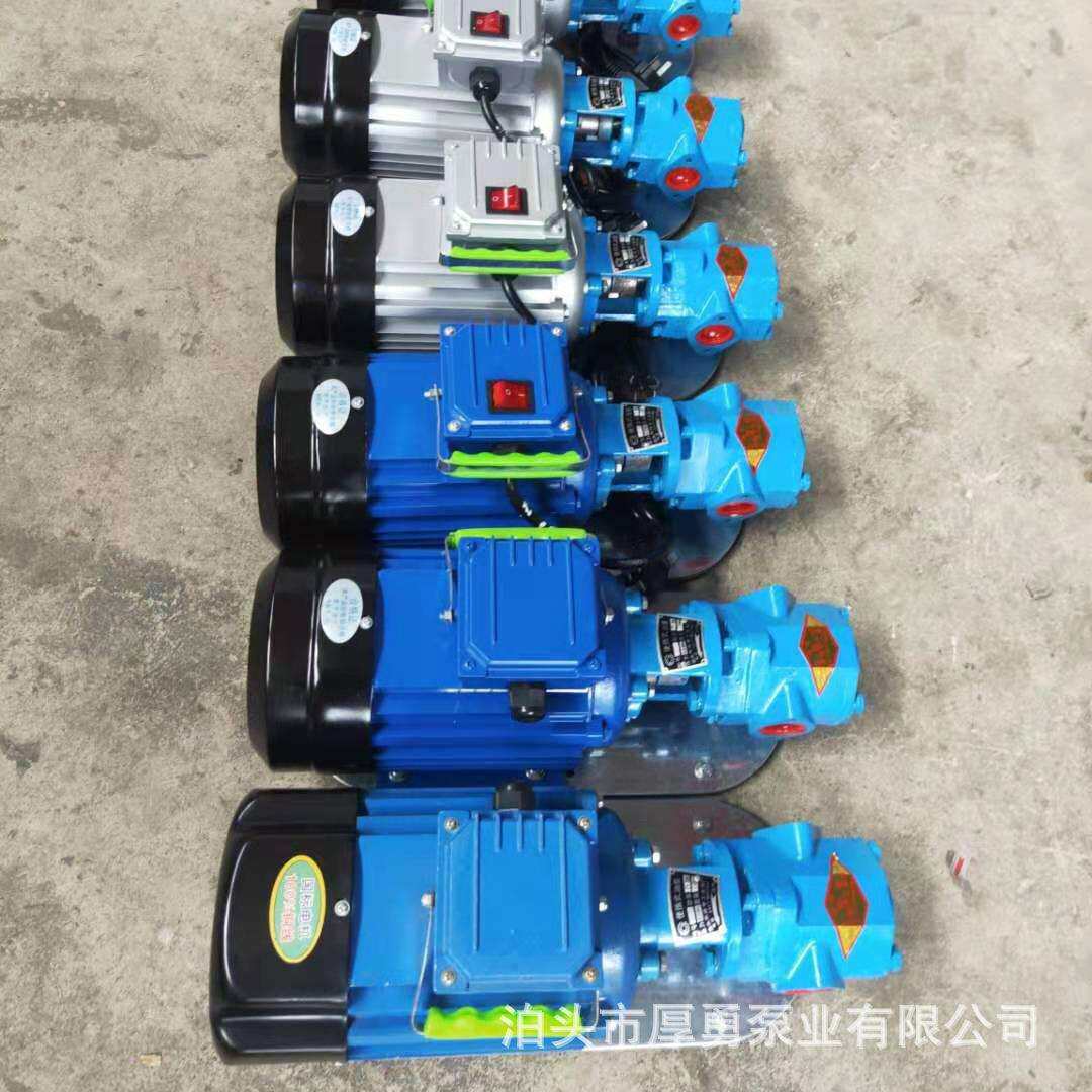 WCB微型泵榨油坊便携手提泵抽油泵灌装机配套泵润滑油脂泵