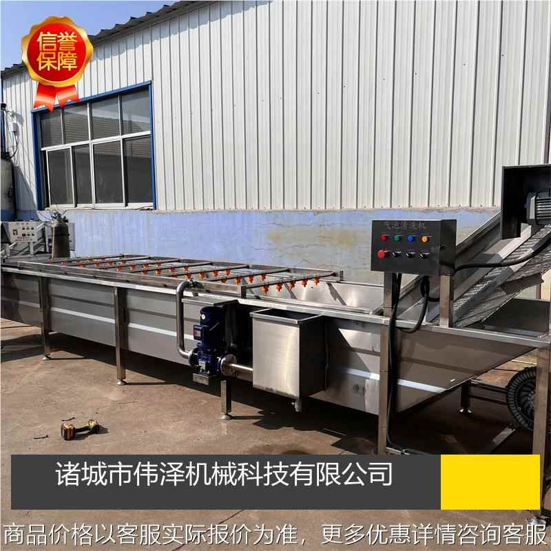气泡清洗机商用果蔬清洗机高压喷淋鼓泡海鲜清洗设备不锈钢洗菜机