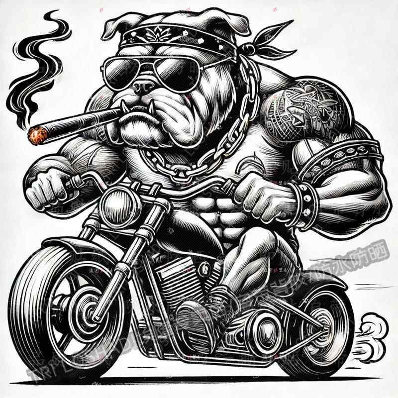 肌肉斗牛犬骑摩托帅气贴纸汽车防水电动车遮瑕炫酷贴画摩托车贴纸