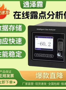 YZL-S300型在线露点分析仪电容式露点温度检测仪水蒸气含量测试仪