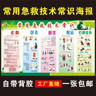 学校医务室保健室卫生室布置装饰墙贴常用急救常识海报标语挂图