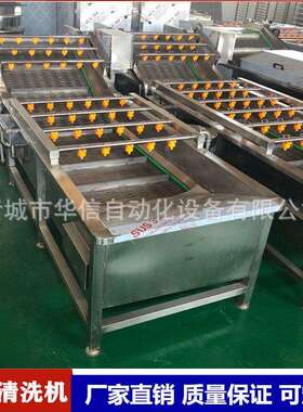 不锈钢柑橘枇杷气泡清洗机火龙果清洗机械清洗烘干流水线