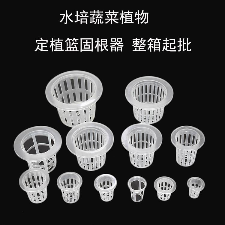 水培植物蔬菜定植篮(整箱起批)阳台无土栽培定植杯加深固根器