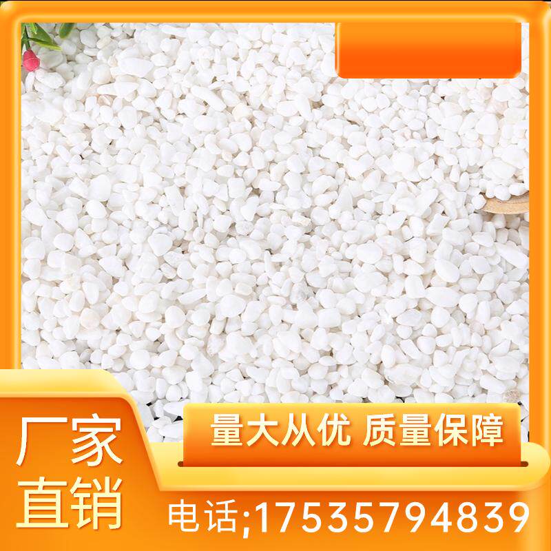 河北白石子天然小白石铺面石鱼缸沙石造景多肉装饰铺面石鹅卵石