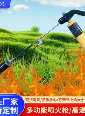 烧烤枪（喷火枪）。产品型号TLX904手持式喷枪