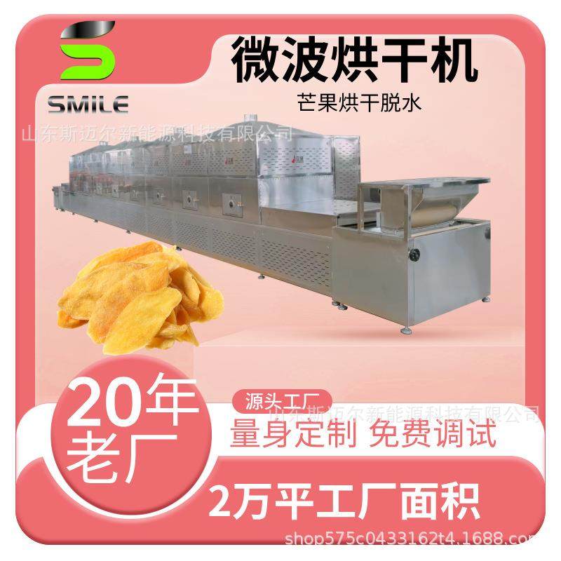 芒果葡萄干隧道式烘干工业烘干设备药材桂圆桂皮烘干机