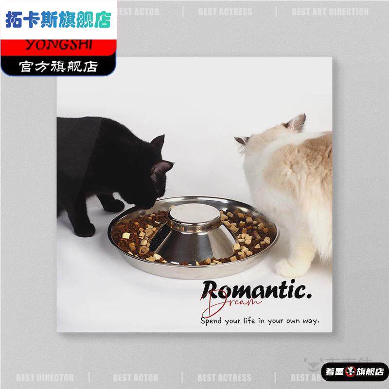 不锈钢花瓣猫碗多猫家庭大号分食盆幼猫汤盘防打翻宠物大碗猫盘子