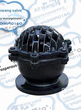 加厚H42X-6/10铸铁法兰提升底阀水泵花篮头止回阀淋浴头