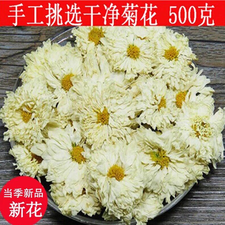 亳州菊花茶 500克白菊食用茶叶 四季适用非特级胎菊王