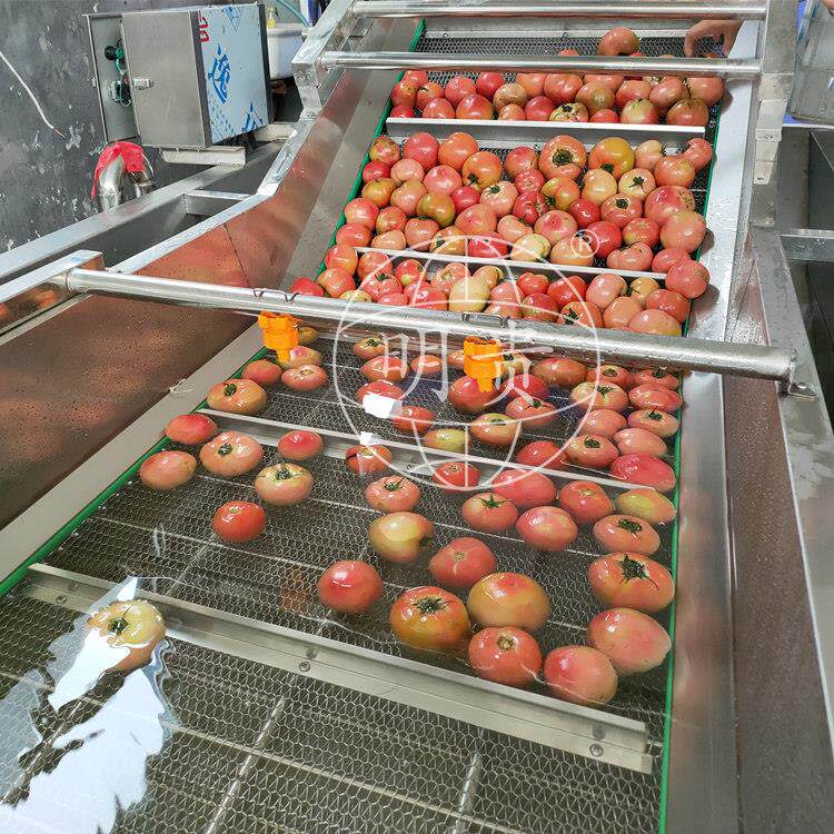 瓜果鼓泡式清洗机不锈钢水果清洗线大型自动洗果机厂家优惠