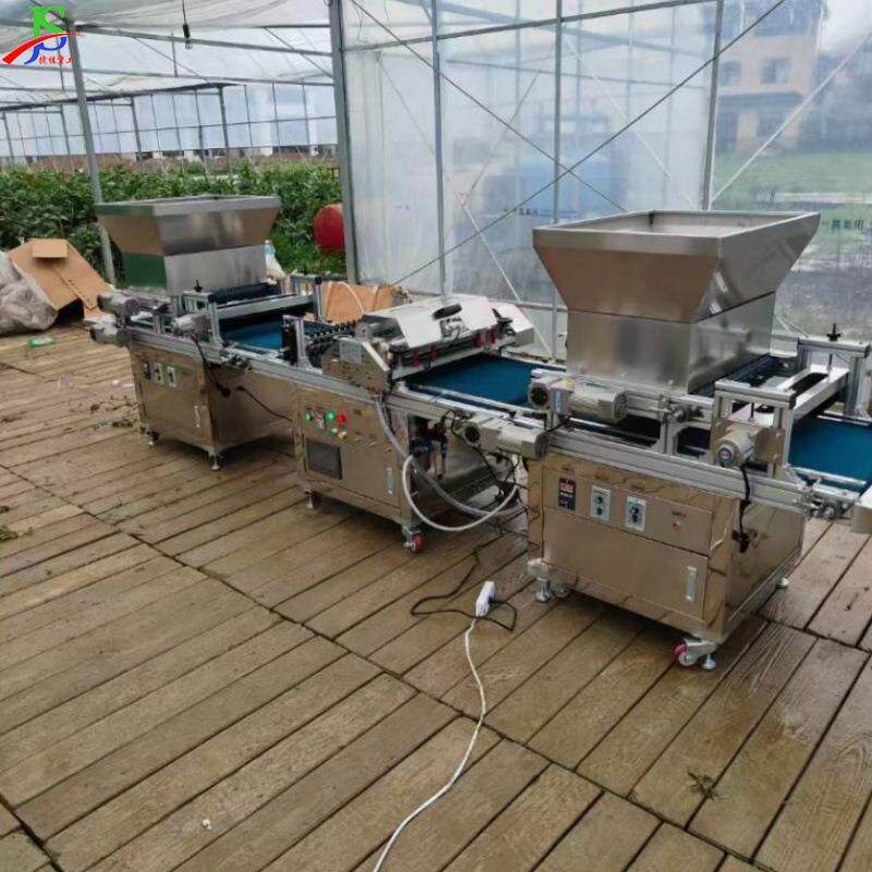 滚筒式穴盘育苗机 蔬菜花卉育苗装置 铺土压穴播种一体机