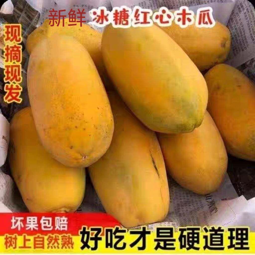 红心木瓜整箱发货果园现摘青皮放熟红心果肉清甜多汁小孩都爱吃