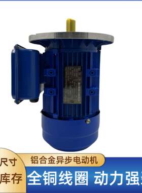 110V220V/50HZ60HZ相异步电动机2800转双电容电机YL8022-1.1W