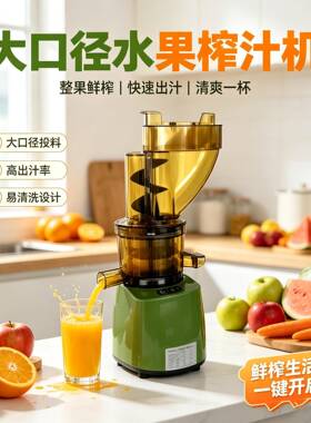 500W商用冷压榨汁机大扭矩速电机连续10-20h果蔬原汁压榨设备