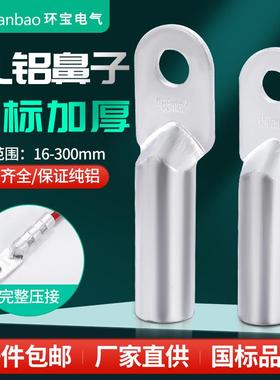 DL全铝鼻子国标A级16/25/35/50/70/95/120/150平方堵油接线 线鼻