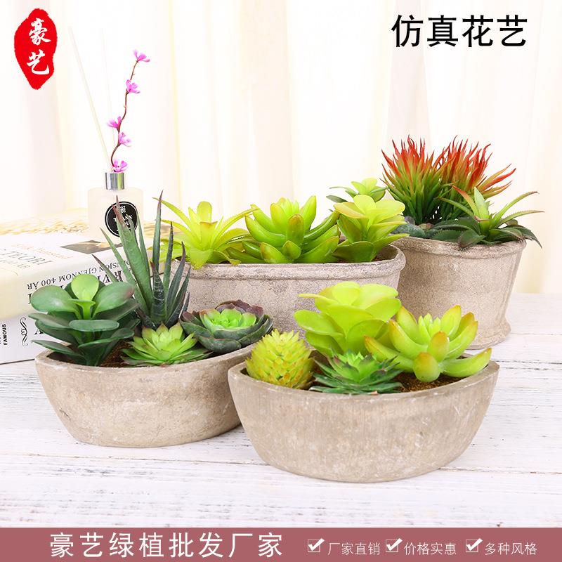 多肉植物 组合盆栽仿真植物 客厅办公室装饰仿真多肉植物盆栽摆件