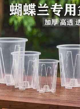控根透气透明盆蝴蝶兰专用盆空气柱花盆青山盆树脂加厚环保兰花盆