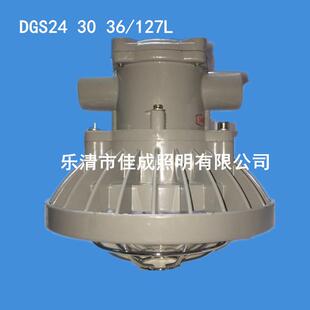 矿用隔爆型LED巷道灯30W防爆灯巷道灯LED防爆灯 127L DGS3036