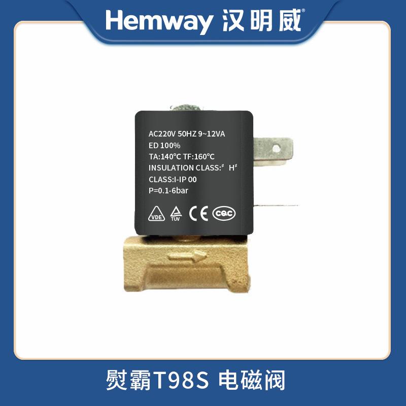 熨霸厂家直销T98S蒸汽发生器锅炉电熨斗配件电磁阀