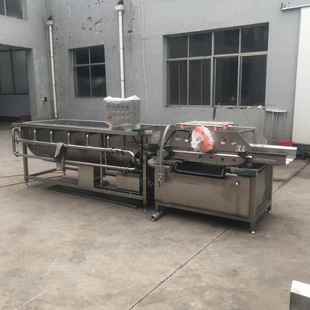 蓝莓清洗机漩涡水流式 蓝莓清洗沥水机洗蓝莓设备