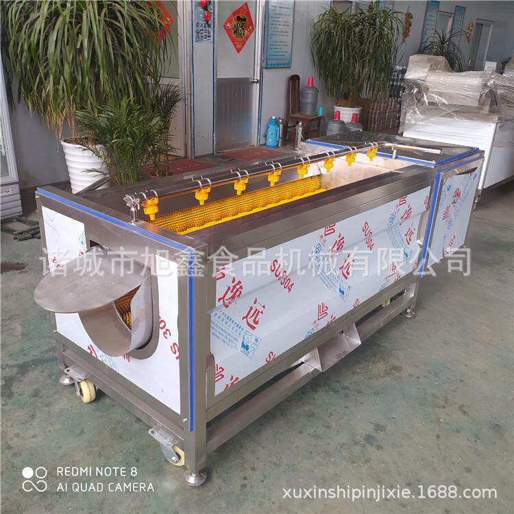 商用大型毛辊去皮清洗机生姜马铃薯红薯清洗机现货直发果蔬清洗机