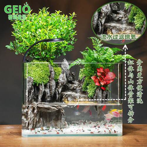 成品苔藓微景观生态鱼缸真绿植水陆造景缸一体循环过滤桌面小鱼缸