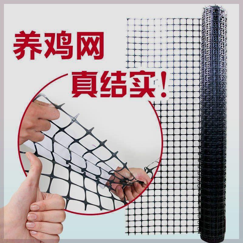 加厚圈玉米网塑料围栏网黑色养鸡鸭特厚小孔网拦鸡漏粪网栅栏护栏