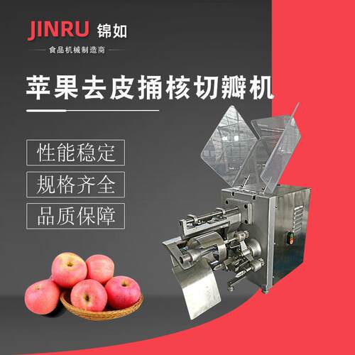 苹果去皮捅核切瓣机商用果蔬榨汁加工设备大型冲浪洗果机