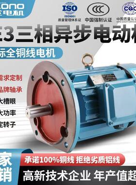 立式电机中国冠龙三相异步电机380V15KW国标全铜芯马达法兰安装