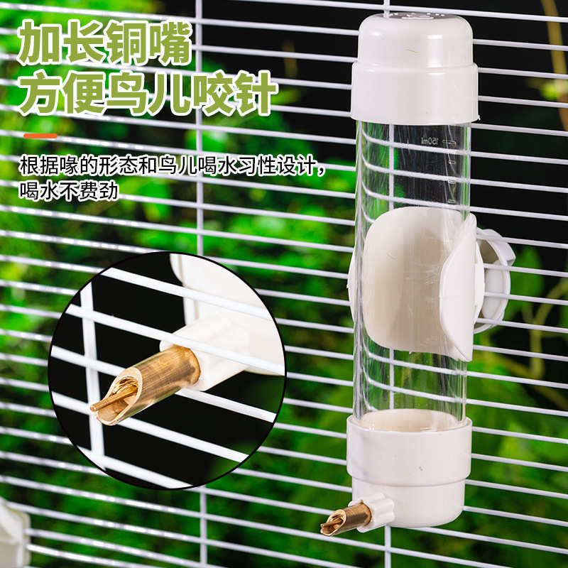洁西鸟用自动饮水器撞针喝水水壶喂食虎皮玄凤鹦鹉鸟笼用品专用