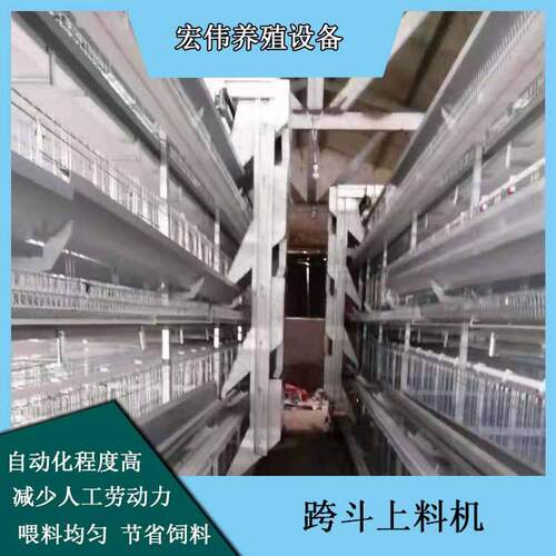 跨斗式上料设备宏伟养殖自动化机械可行走顶料箱式饲料喂料机