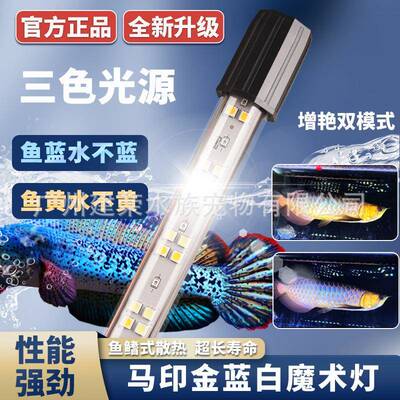 MAYIN马印神灯金龙鱼增艳增色led灯水族箱灯防水双模式金蓝白增艳