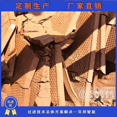 贝邦环保供应聚丙烯厢式滤板 压滤机滤板厢式板框滤板厂家