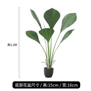 假植苏门答腊大型植装饰盆栽仿真棕树室内客厅绿落地物秋色北欧