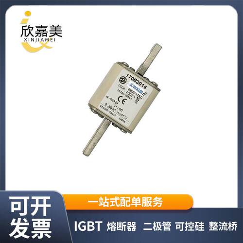 170M3014 170M3015 快速熔断器 电子元器件 型号齐全 量大价优