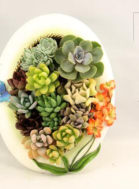 多肉微景观苔藓拼盘组合画框相框盆栽植物壁饰花盆器创意微景观