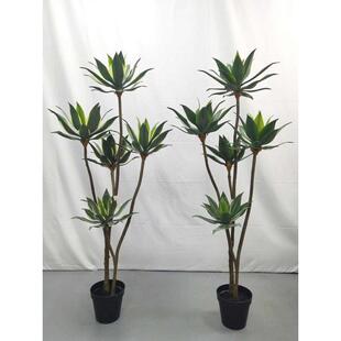 仿真植物多头仿真盆栽宝莲带霜假龙舌兰肉室内装饰树手感绿植多